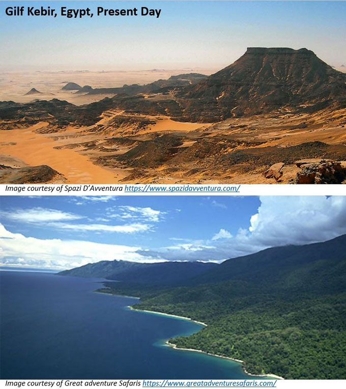 No alt text provided for this image